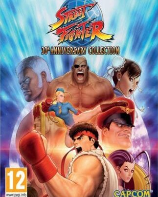 Street Fighter (30th Anniversary Collection) – למחשב - DGKeys