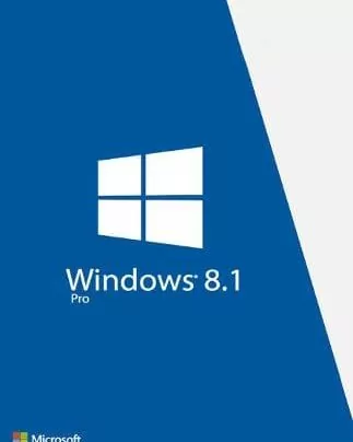 Microsoft Windows 8.1 Professional | OEM | ווינדוס 8.1 פרו - DGKeys